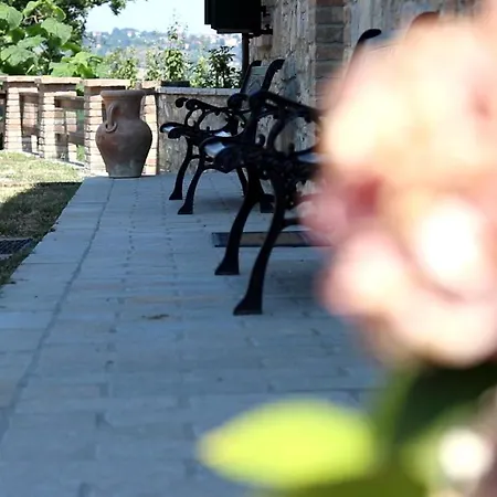 L'angolo Di Verlano *