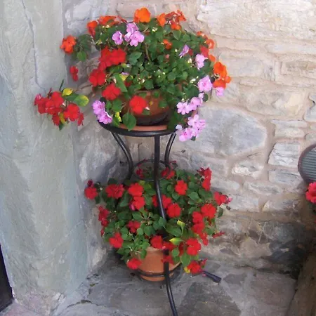 L'angolo Di Verlano Kır Evi *