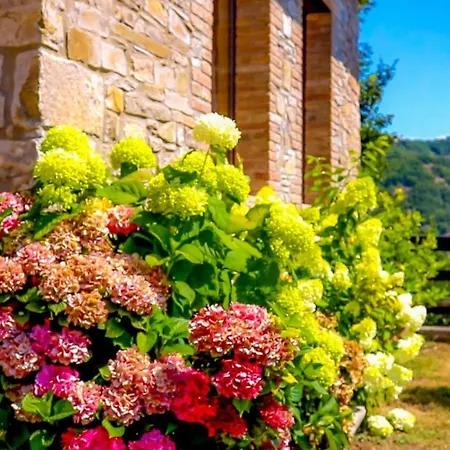 Casa di campagna L'angolo Di Verlano