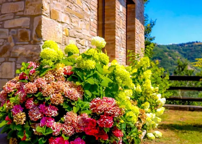 Casa di campagna L'angolo Di Verlano